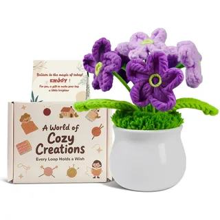 IrisCargo Gehäkelte Blumen, Künstliche Vergissmeinnicht-Blumen Häkelblumen Glücksbringer Geeignet zur Dekoration von Schreibtischen oder Armaturenbrettern Lustige Geschenke für Frauen