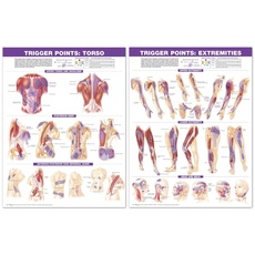 Trigger Points Chart Set: Extremities and Torso