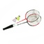 Bild Badminton