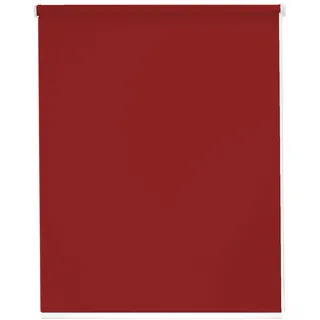 SUNLINES Seitenzugrollo Young Style Blackout 82 x 180 cm rot