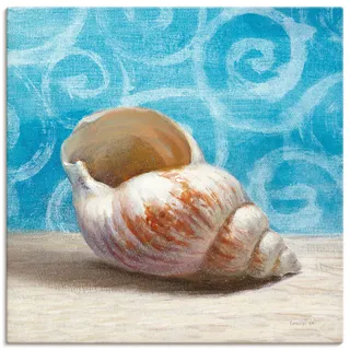 Artland Leinwandbild »Geschenke aus dem Meer I« Wassertiere 1 Stk. tlg. auf Keilrahmen gespannt, blau