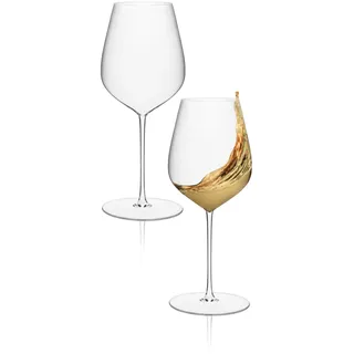 RONA ARTE Weißweingläser 2er Set, ultraleicht mit feinem Kelchrand, 440 ml | Kristall Weingläser Set aus bleifreiem Glas, ultradünn maschinell gefertigt; jedes Weißweinglas passt zu Dinner und Feiern