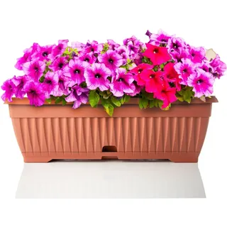 BigDean Blumenkasten Mit Abnehmbarem Untersetzer Terracotta 50 Cm Lang Aus Bruchsicherem Kunststoff Balkonkasten Pflanzkasten Mit Wasserspeicher