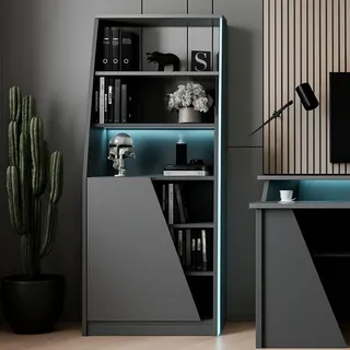 Dmora - Bücherregal Garonne, Büroregal, Mobiler Buchhalter, Bücherbrett, 72x34 h185 cm, Schwarz