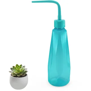 Kleine Gießkanne für Zimmerpflanzen, 450 ml Mini Giesskanne, Bewässerung Flasche für Sukkulente Kaktus Sämlinge Bonsai (Blau)