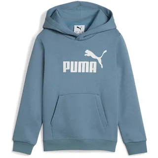 Puma Essentials No. 1 Logo Hoodie FL PS 684931-34 122