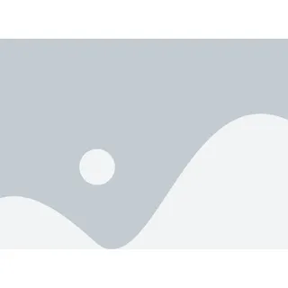 OEM Display für iPhone 12 mini In-Cell LCD Bildschirm Touch