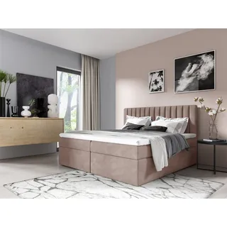 Boxspringbett Schlafzimmerbett LINNEA 200x220cm Stoff Rose inkl. Bettkasten - Rosa