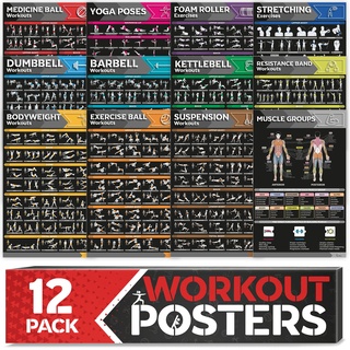 GRAND BASICS Laminiertes großes Workout-Poster-Set – perfekte Workout-Poster für das Fitnessstudio zu Hause Übungsdiagramme inkl Hantel, Yoga-Posen, Kettlebell, Stretching Fitness-Poster, 17'' x 27''