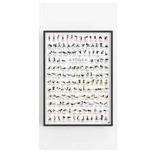 FOLLYGRAPH Yoga Poster NEUE EDITION - 150 Asanas - Yoga Geschenk (XXL (68x98 cm))