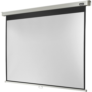 Celexon Rollo Professional 160x120 4:3