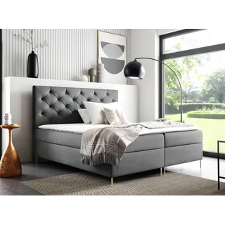 GUTTO Boxspringbett LIDIA 120 x 200cm 2x Bettkasten TOPPER 5cm Gratis Grau Velour hohe goldene Beine - Grau