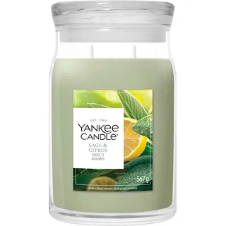 Yankee Candle Sage & Citrus Duftkerze 567 g grün