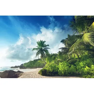 Papermoon "PALMEN-STRAND-SEYCHELLEN TROPISCH INSEL AFRIKA KÜSTE", bunt,