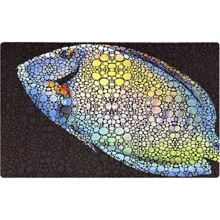 Flipper Aquariummatte Tang 75X45Cm