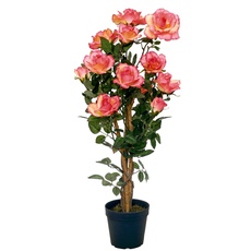 Beispielbild eines Produktes aus Rosen