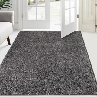 FCSDETAIL Schmutzfangmatte Innen 120 x 180 cm, rutschfeste Maschinenwaschbare Fußmatte, Sauberlaufmatte, Eingangstürmatte mit Wasserabsorbierenden, Fussmatte für Hund, Eingang, Haustür & Flur