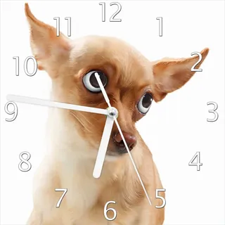 Wallario Design Wanduhr Lustiger Hund mit fliegenden Ohren aus Echtglas, Größe 20 x 20 cm - Weiß