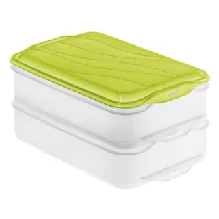 Rotho RONDO Foodcenter, grün, Frischhaltedose hilft Lebensmittel frisch aufzubewahren, 1 Set = 2 x 1,35 Liter