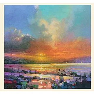 Scott Naismith 'Möwen' montiert Drucken,40 x 40 cm