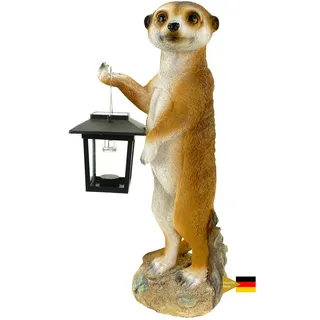 Kremers Schatzkiste Erdmännchen Eddy Gartenfigur mit LED Solarlaterne Wetterfest Handbemalte Polyresin-Deko 38 cm Dämmerungssensor Kaltweißes LED-Licht Perfekt für Garten Terrasse oder Geschenkidee