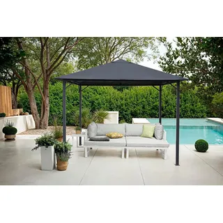 Konifera Kreta 3 x 3 m Grau