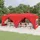Faltpavillon 3 x 6 m inkl. 6 Seitenteile Rot