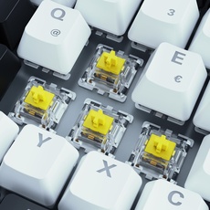 Bild von Skiller SGK50 S3 White, schwarz/weiß, LEDs RGB, hot-swap, Gateron YELLOW, USB, DE (4044951039180)