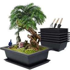 MissFox Bonsai Schale mit Untersetzer, Bonsai-Trainingstöpfe aus Kunststoff, Pflanztopf für Garten, 6 Stücke Blumentopf Rechteckig Groß mit 6 Tablett und 3 Mini Gartenwerkzeug Set, 23x17x8cm