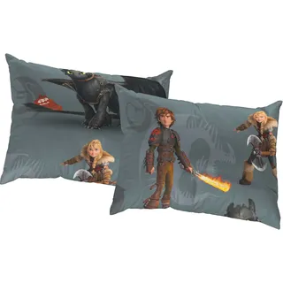 Dekokissen WIRTH "Dragons" Gr. 2, grau (grau, gemustert), B:50cm L:50cm, Polyester, Dekokissen_Sitzkissen_Kissenhüllen, Dekokissen, Universal Pictures, Kissenhülle ohne Füllung, 2 Stück