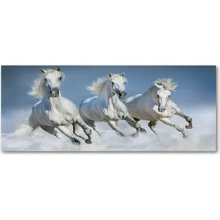 Tulup® Küchenrückwand Spritzschutz aus Glas -125x50 -Spritzschutz auf gehärtetes Glas Deko Tiere Pferde im Galopp - Weiß