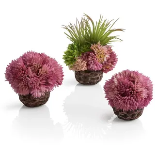 biOrb 73540 Korallenball-Set lila, 8 x 8 x 9 cm - Aquarien-Dekoration, Deko-Element für Aquarium, naturnahe Aquarienpflanze