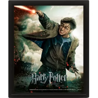 Pyramide Harry Potter Cadre 3D Lens Expelliarmus