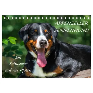 Appenzeller Sennenhund - Ein Schweizer auf 4 Pfoten (Tischkalender 2026 DIN A5 quer), CALVENDO Monatskalender: Der Appenzeller Sennenhund in wunderschönen Bildern vorgestellt (CALVENDO Tiere)