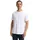 schwarz M