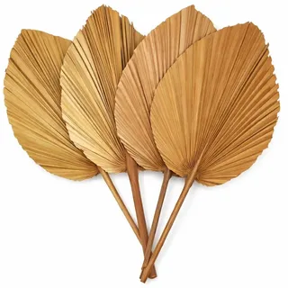 Getrocknete Palmblätter – 4er Set | Natürliche Deko im Boho- & Trockenblumen-Stil | Ideal für Vase, Tischdeko & DIY-Projekte