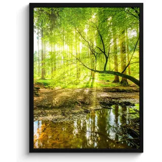 MuchoWow Poster MIT Rahmen Wald - Landschaft - Wasser - Bäume - Sonne - Grün - Natur Posterleiste 60x80 cm , Papier , Rechteckig , 60x80 cm , gerahmt , Bilder & Rahmen, Bilder