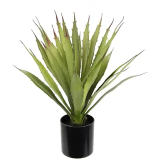 I.GE.A. Künstliche Agave Aloe Vera im Topf Kunstpflanze", grün,