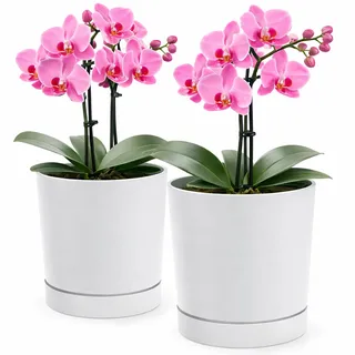 PECZEKO Blumentopf matt, Pflanzkübel aus Übertopf Kunststoff Dekorativer Topf für, groß und klein Pflanzen, 2er-Set blumenkübel, blumenkübel kräutertopf (2 Pack) Weiß, ø 18 cm
