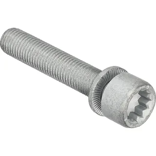 FEBI Schraube, Bremssattel 48817