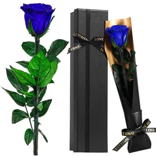 Touloube Ewige Infinity Rosen Geschenk zum Muttertag für Mama, Blau Rose Blumen Geschenke für Frauen, für Mama Freundin Ehefrau Freundinnen, Eternal Rose Geburtstagsgeschenk Jahrestag Geschenk Frau