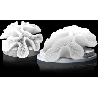 Tirifer 2 Stück weiße Korallendekoration, weißes Korallenriff, Kunstkorallendekor, Kunstharz, Korallen-Dekor, Strand-Heim-Ornamente für Strandhaus, dekorative Korallenstücke für Aquarien, Aquarien,