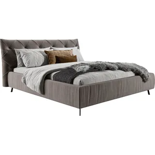 Leonique Polsterbett »Elloree, in 4 Breiten bis 200cm, auch in Leder« Kopfteilhöhe 105 cm, belastbar bis 280 kg, auch in Überlänge 220cm, grau