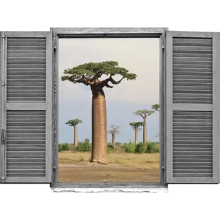 Queence "Afrikanische Baüme", Wandsticker, Wandbild, selbstklebend, 3D, Fenster,