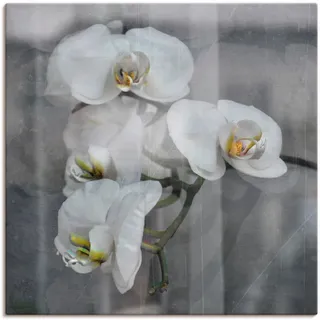 Artland Leinwandbild »Weisse Orchideen - white Orchid« Blumen 1 Stk. tlg. auf Holzrahmen gespannt, schwarz