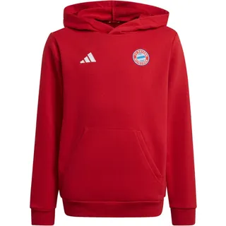 adidas Fc Bayern Munich Kids Hoodie team power red 2 (AEPU) 164