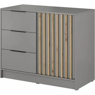 Moderne Kommode mit Schublade Sideboard, Wohnzimmer, Esszimmer, Flur & Diele Schrank Highboard - Kommode JOHN 2D Grau - Grau
