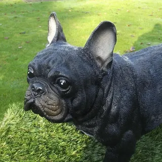Gartenfigur Hund 48cm lang Französische Bulldogge schwarz 2500 lebensecht Figur - schwarz - Lebensgroß