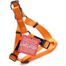 Consentida CN205666 Petral Flöte T-2, 30-40 x 1.5 cm, M, Orange