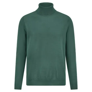 Rollkragen-Pullover Louis Sayn grün